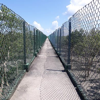Dobanki camp