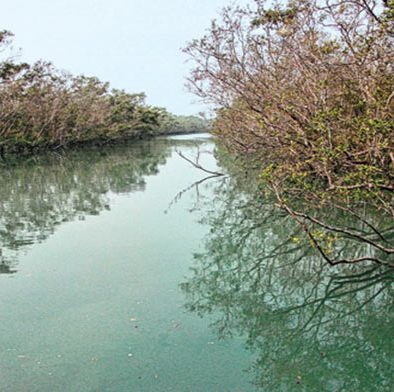 Jharkhali