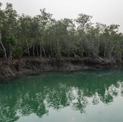 Jharkhali