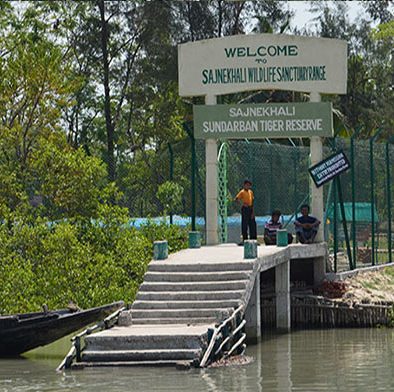 Sajnekhali