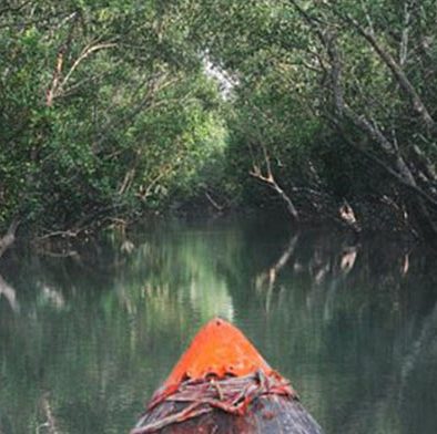 Sudhanyakhali