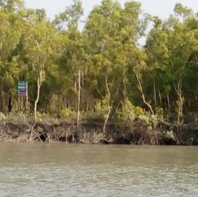 Sudhanyakhali